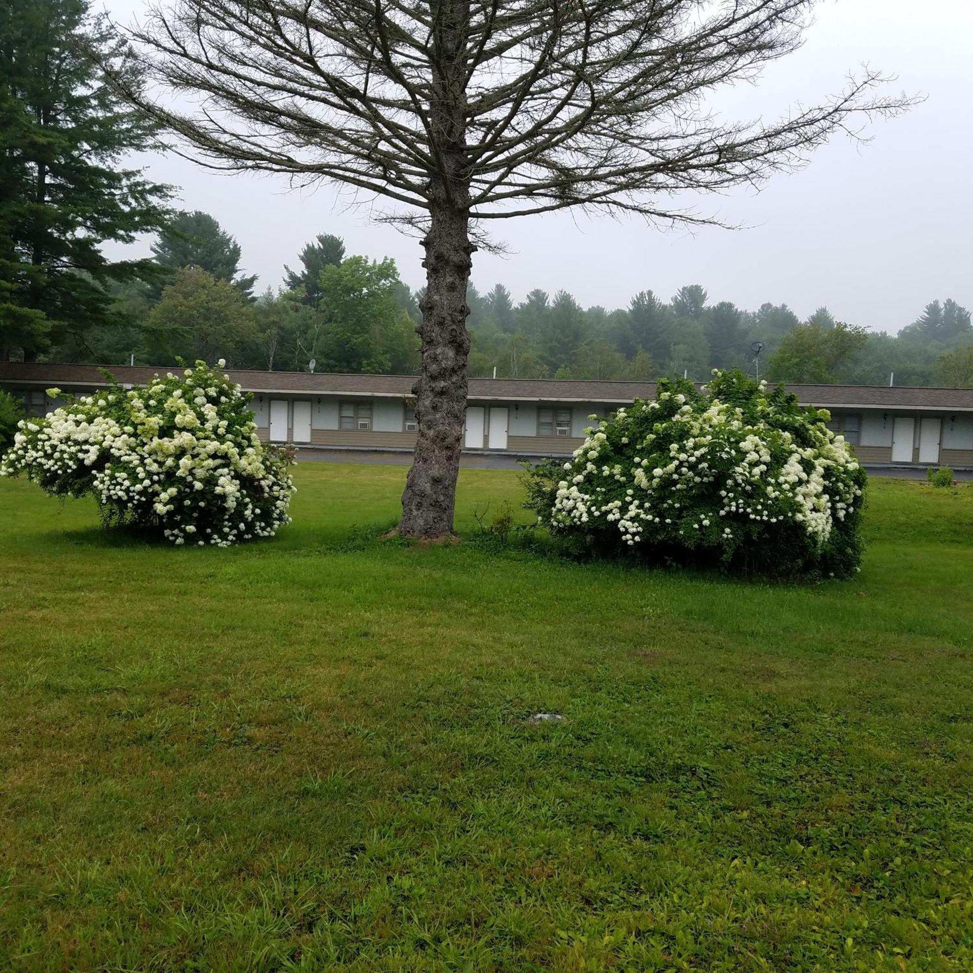 The Becket Motel Exterior foto